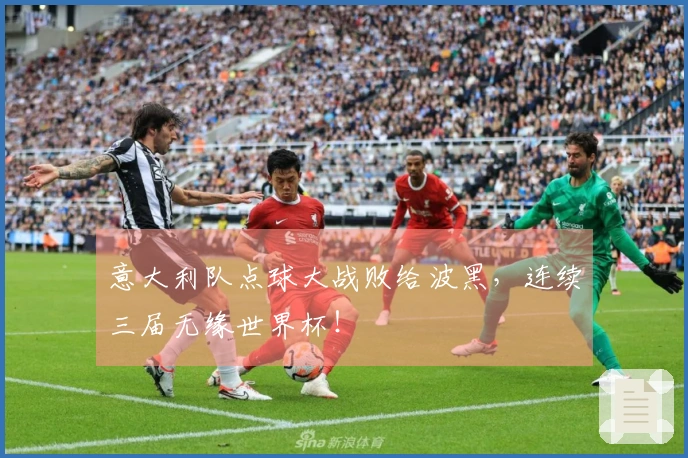 意大利队点球大战败给波黑，连续三届无缘世界杯！