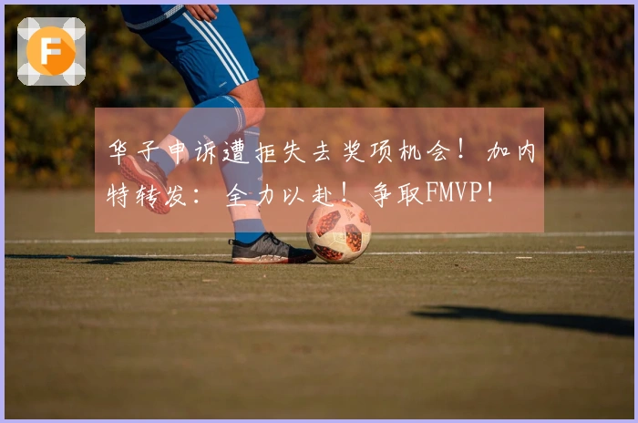 华子申诉遭拒失去奖项机会！加内特转发：全力以赴！争取FMVP！