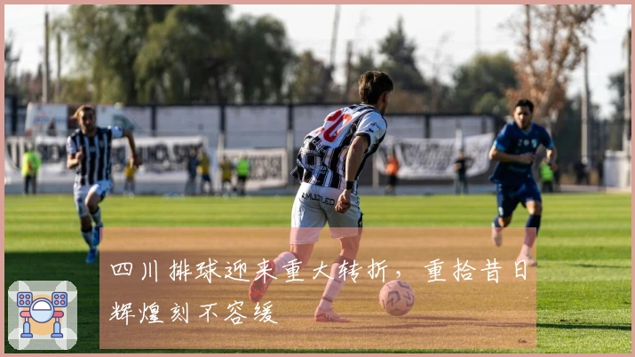 四川排球迎来重大转折，重拾昔日辉煌刻不容缓